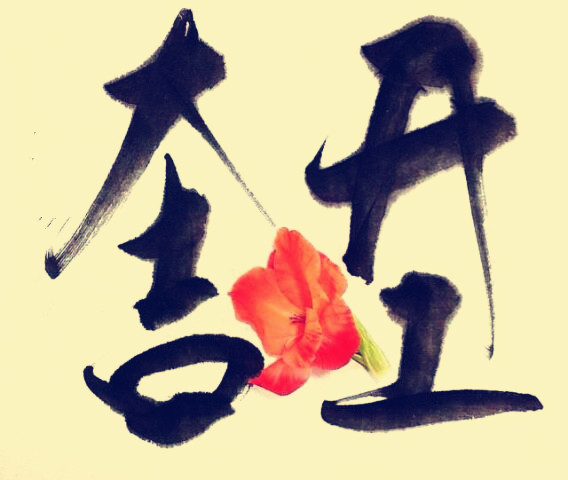 駿業(yè)包裝開工大吉！