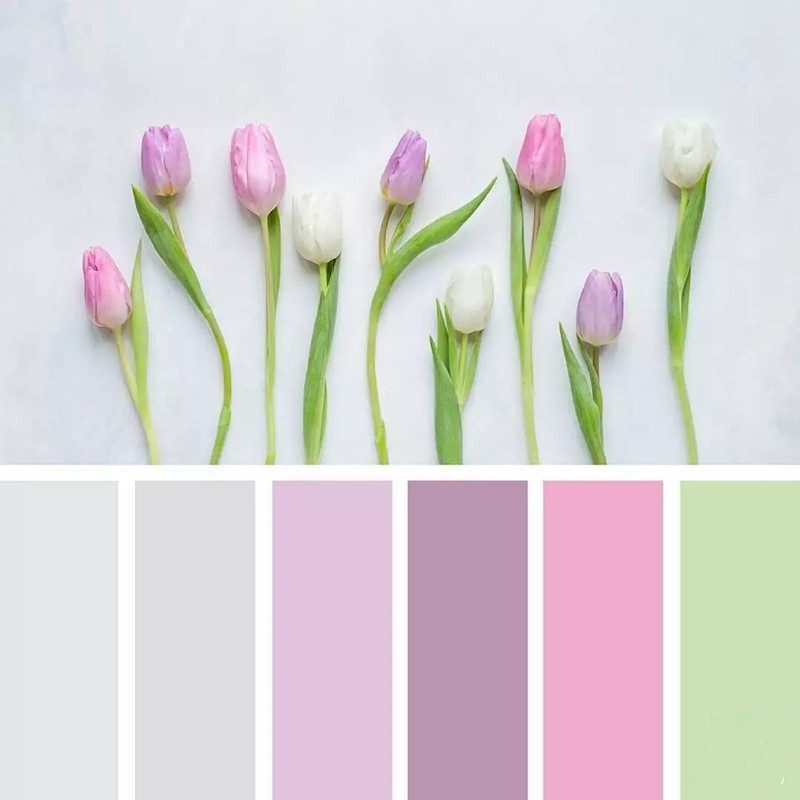 化妝品包裝盒色彩搭配-廣州駿業(yè)包裝實(shí)業(yè)有限公司 化妝品包裝盒色彩搭配