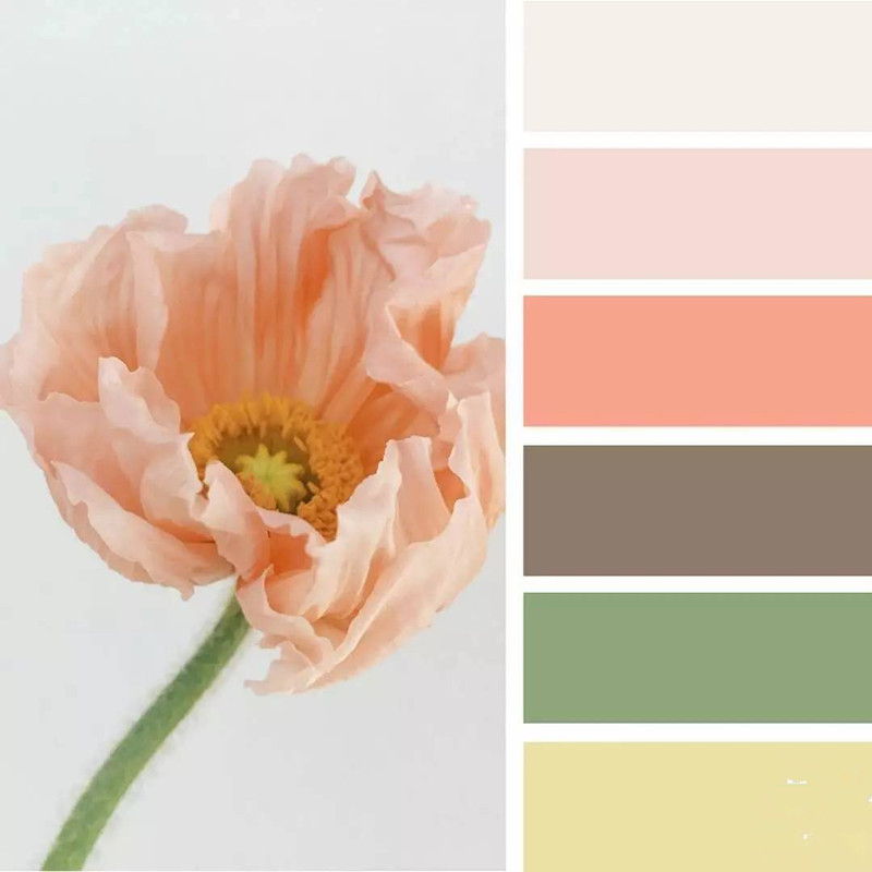 化妝品盒色彩搭配-廣州駿業(yè)包裝實(shí)業(yè)有限公司 化妝品盒色彩搭配